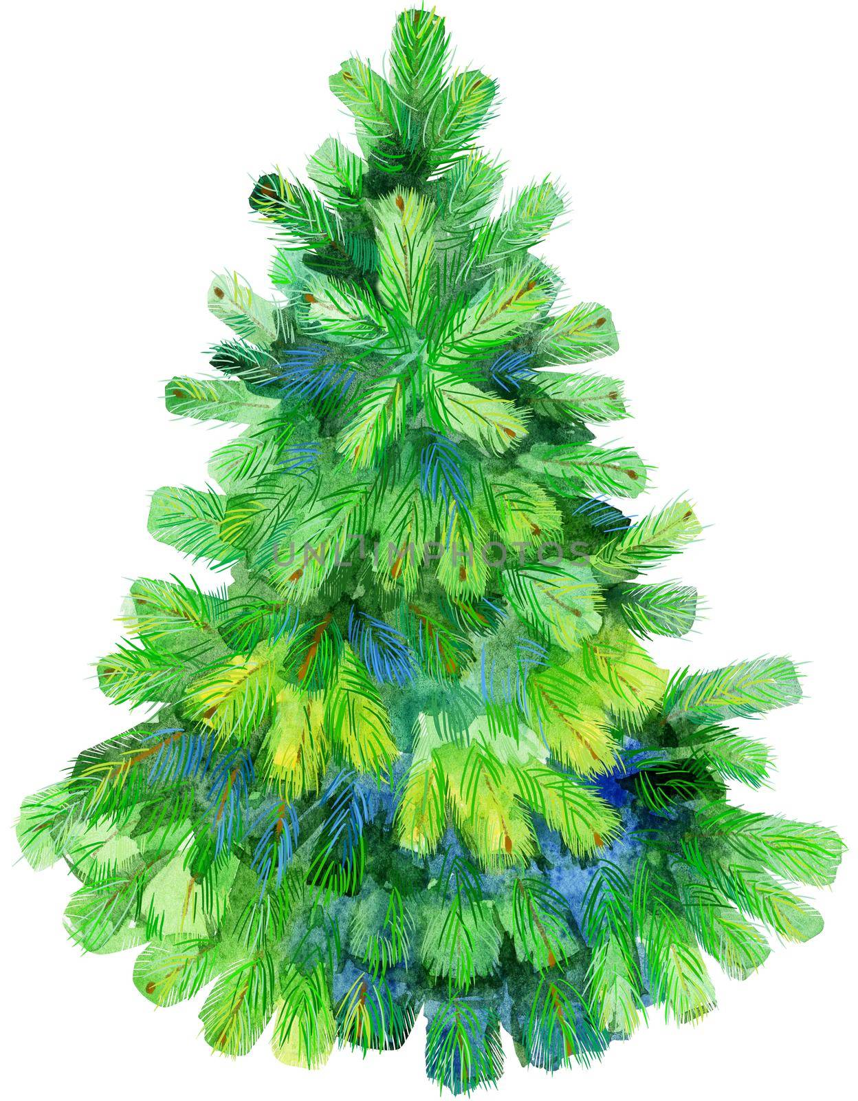 Watercolor green Christmas tree on white background by NataOmsk