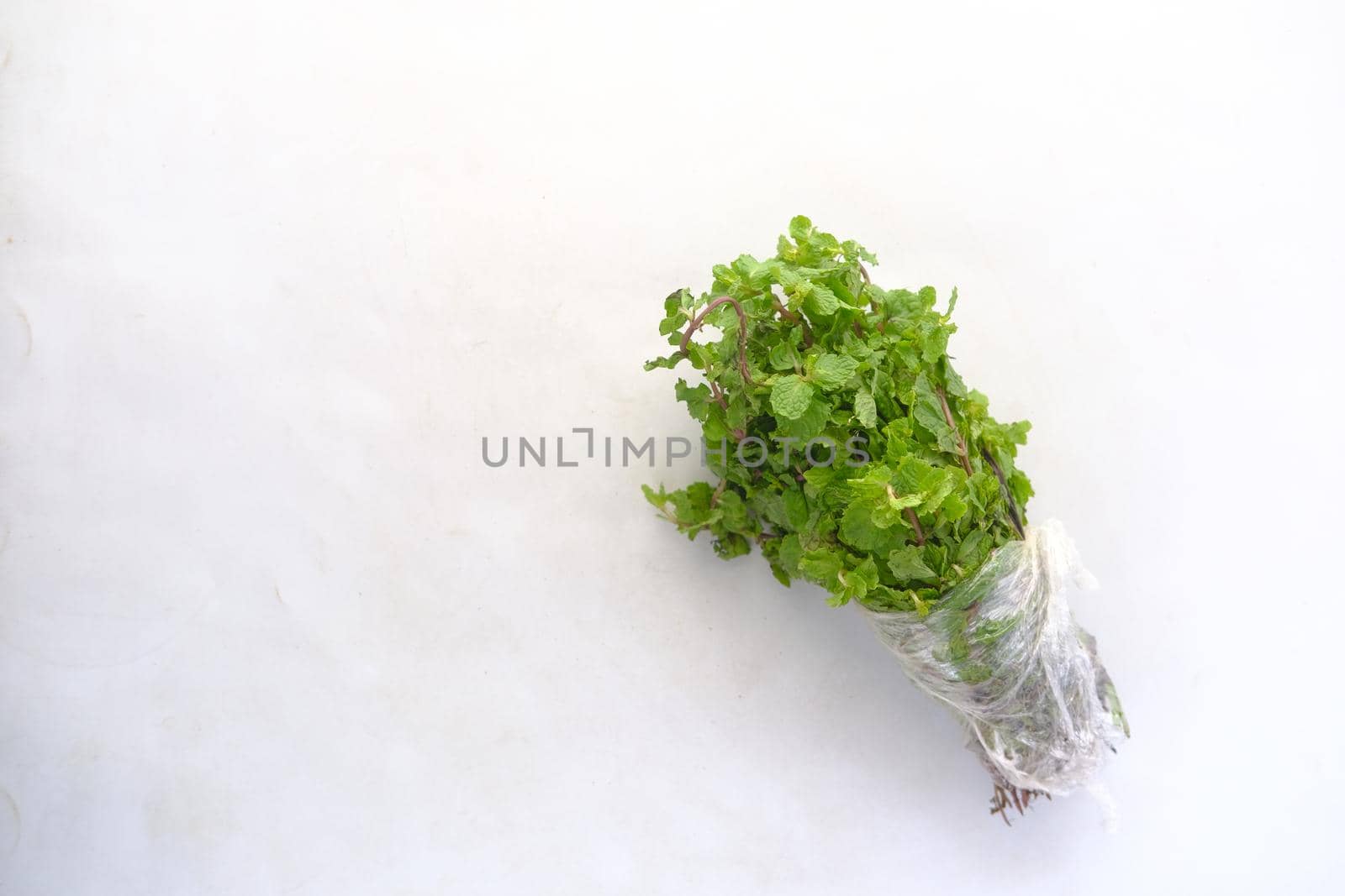 Mint leaves isolated on white background close up .