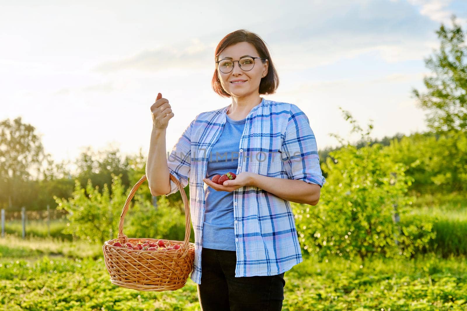 Farm field with strawberries, woman picking berries with a basket by VH-studio