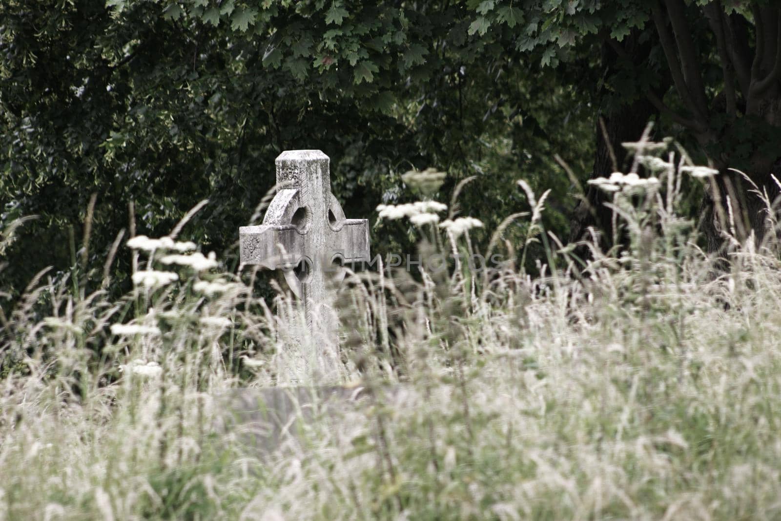 A Graveyard with cross shaped headstone isolation loneliness