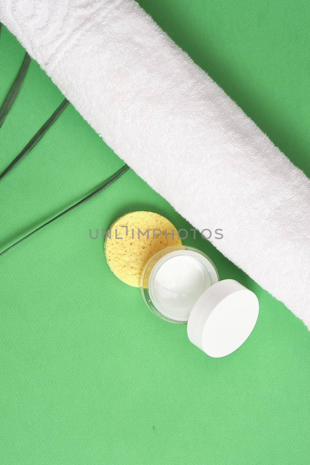 spa products cosmetics health procedures Green background. High quality photo