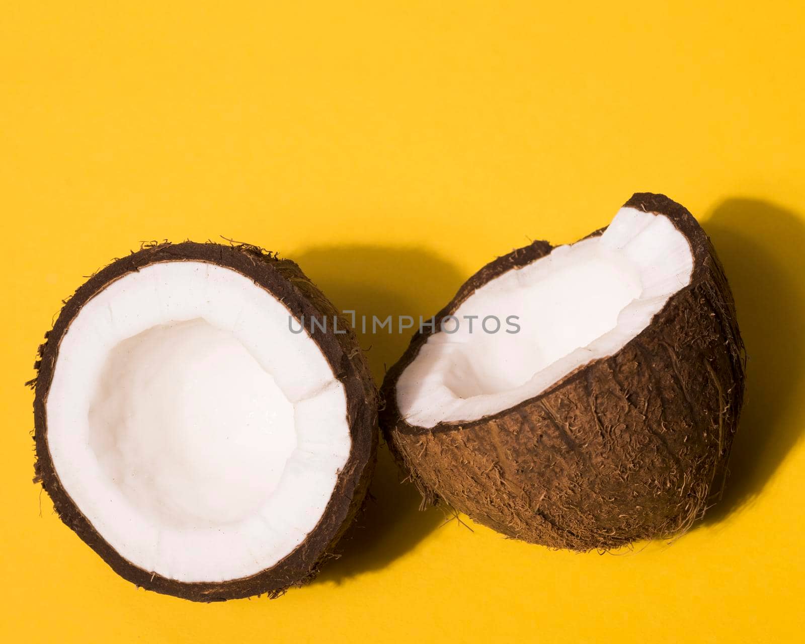 close up view coconut concept. High quality photo by Zahard