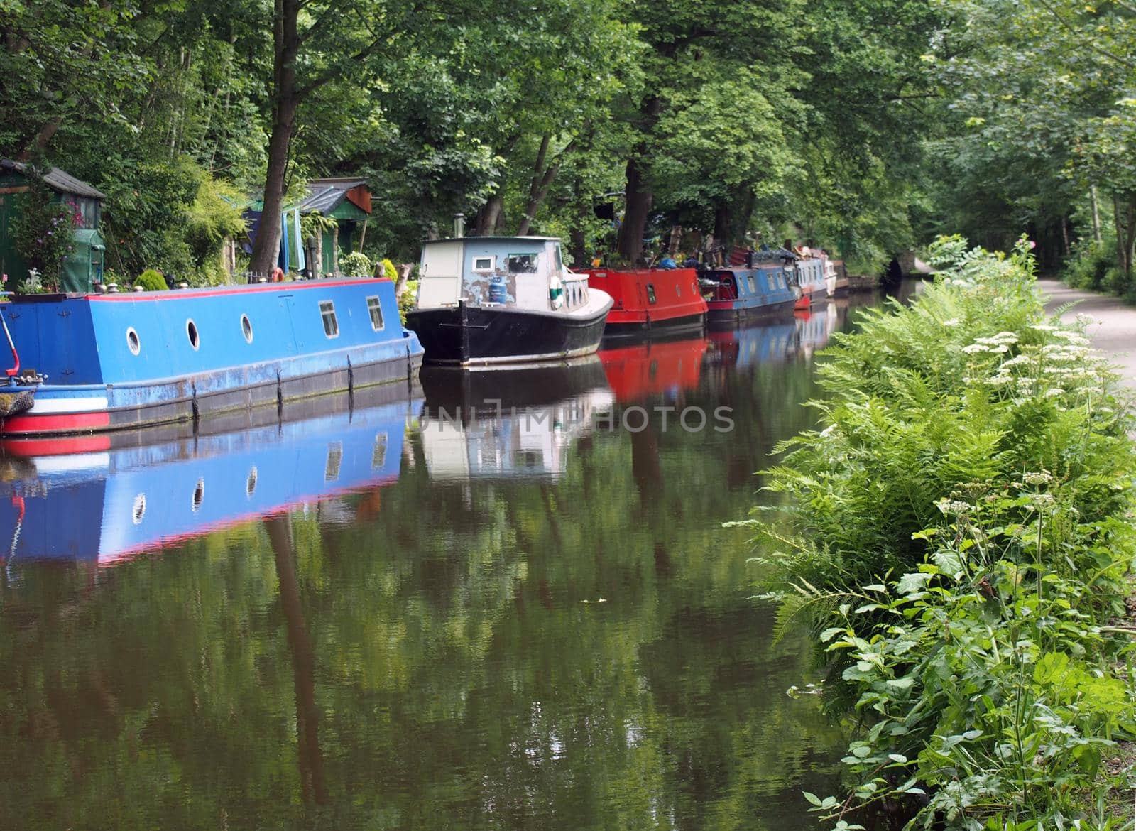 narrow boats and barges moored on the rochdale canal in hebden bridge surrounded by green summer trees by philopenshaw