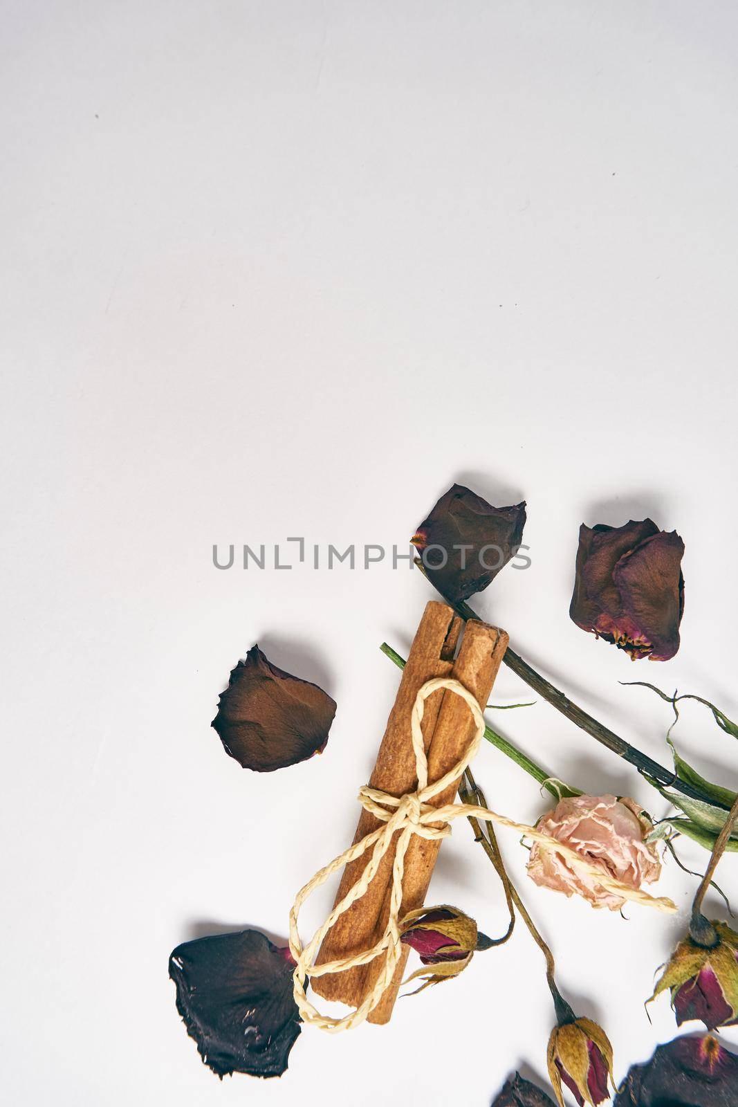 rose petals bouquet of flowers decoration cinnamon beauty. High quality photo