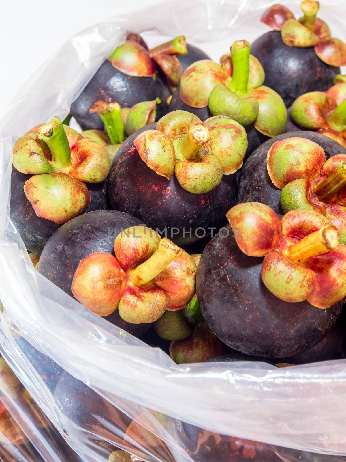 Fresh mangosteen in the big plastic bags for wholesale by Satakorn