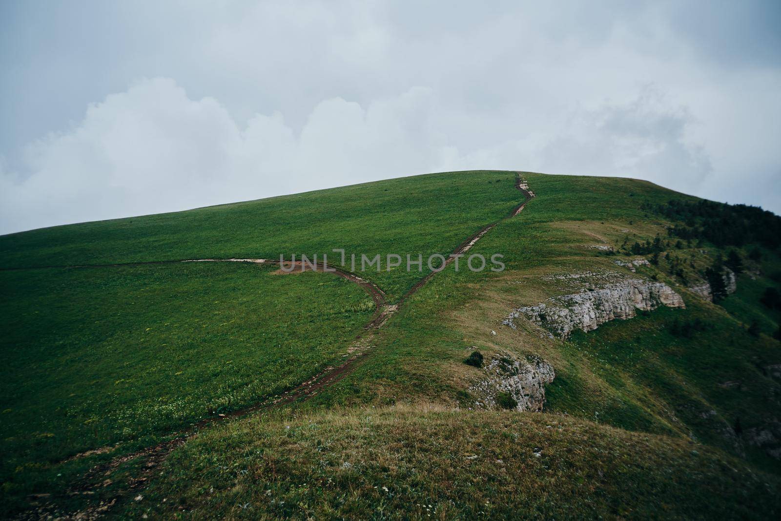 Field flowers mountains travel adventure nature. High quality photo