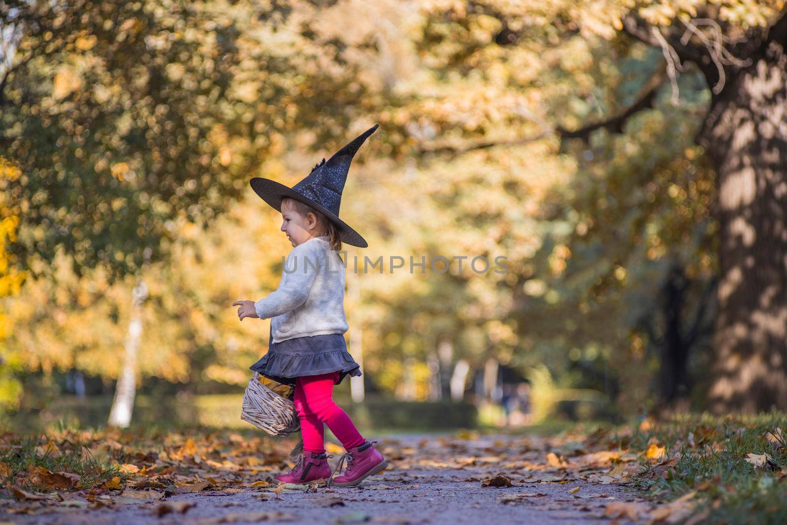 adorable little toddler girl walking in autumn park. girl in witch costume and black hat cosplay halloween costume. halloween celebration