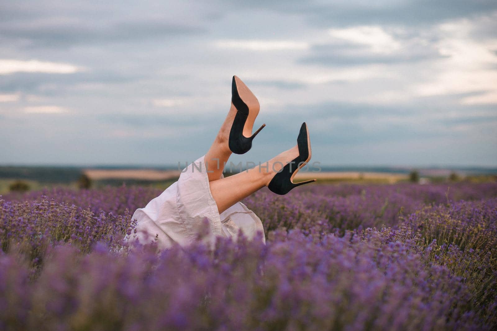 Selective focus. The girls legs stick out of the lavender bushes. Bushes of lavender purple in blossom, aromatic flowers at lavender fields.