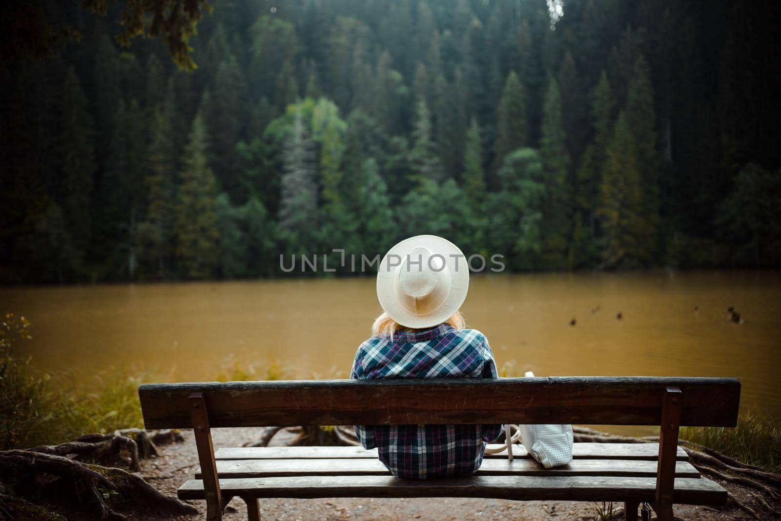 Rear view of a young woman in a denim shirt and hat, sitting on a bench next to a tree with many roots, admires the lake landscape, in Red Lake, Eastern Carpathians, Romania