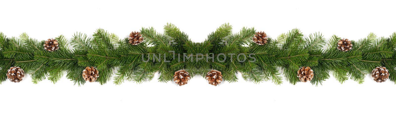 Christmas Border frame of tree branches and pine cones on white background with copy space isolated