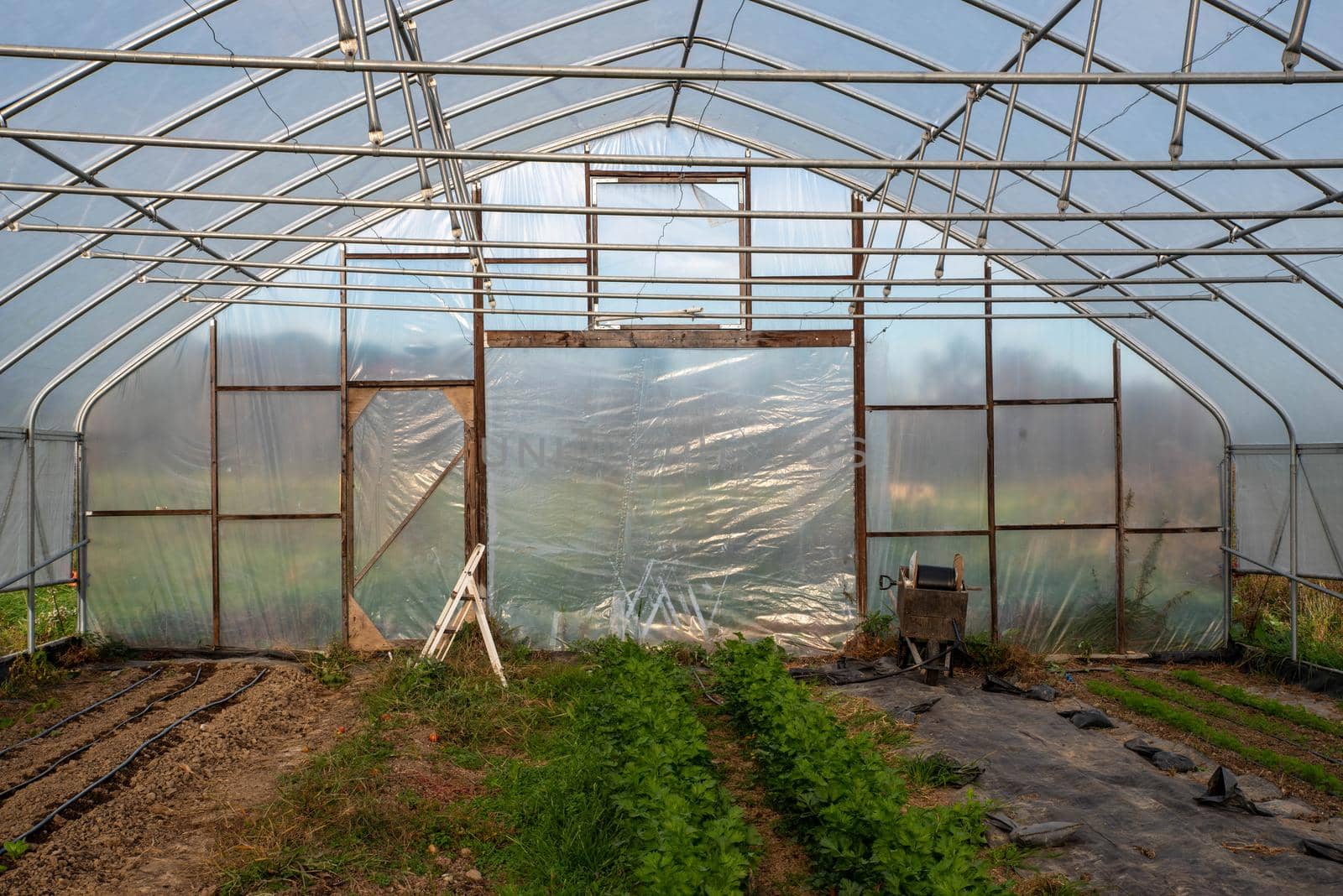 Irrigation equipment and step ladder in vegetable greenhouse by marysalen