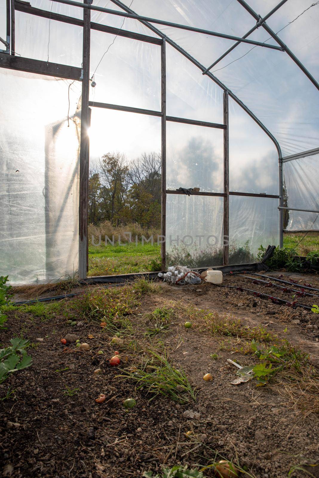 open greenhouse door with tools and irrigation lines by marysalen