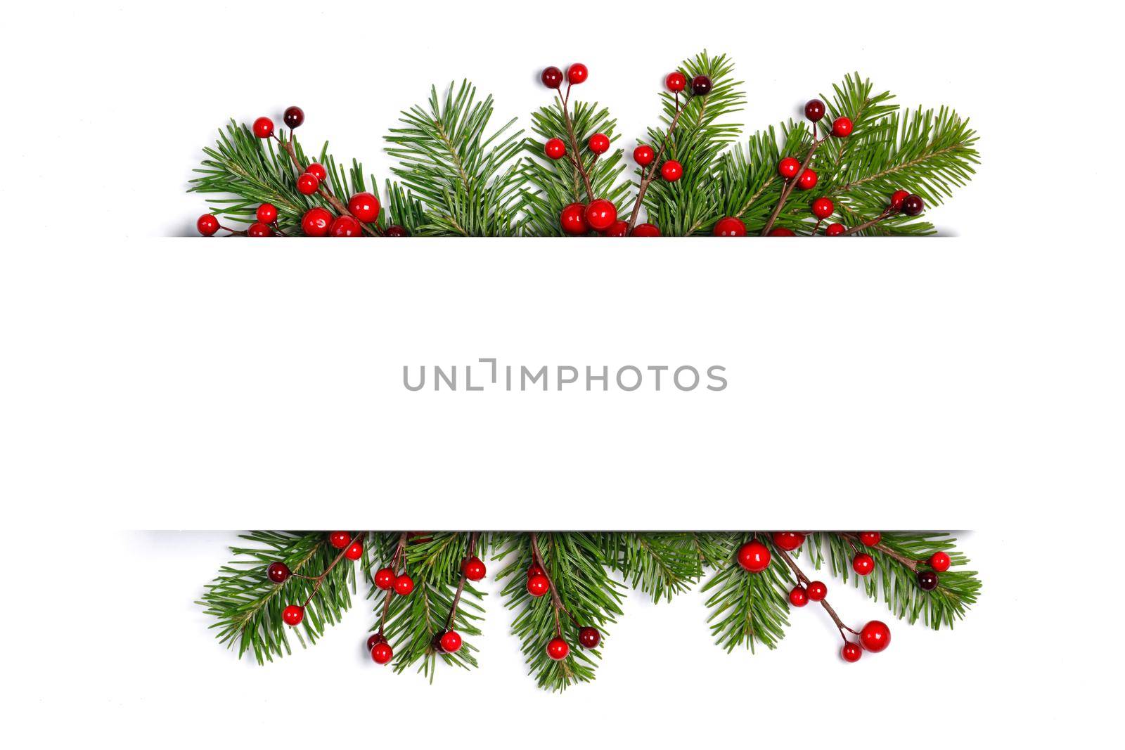 Christmas green fir tree branch and red holly berry frame border isolated on white background