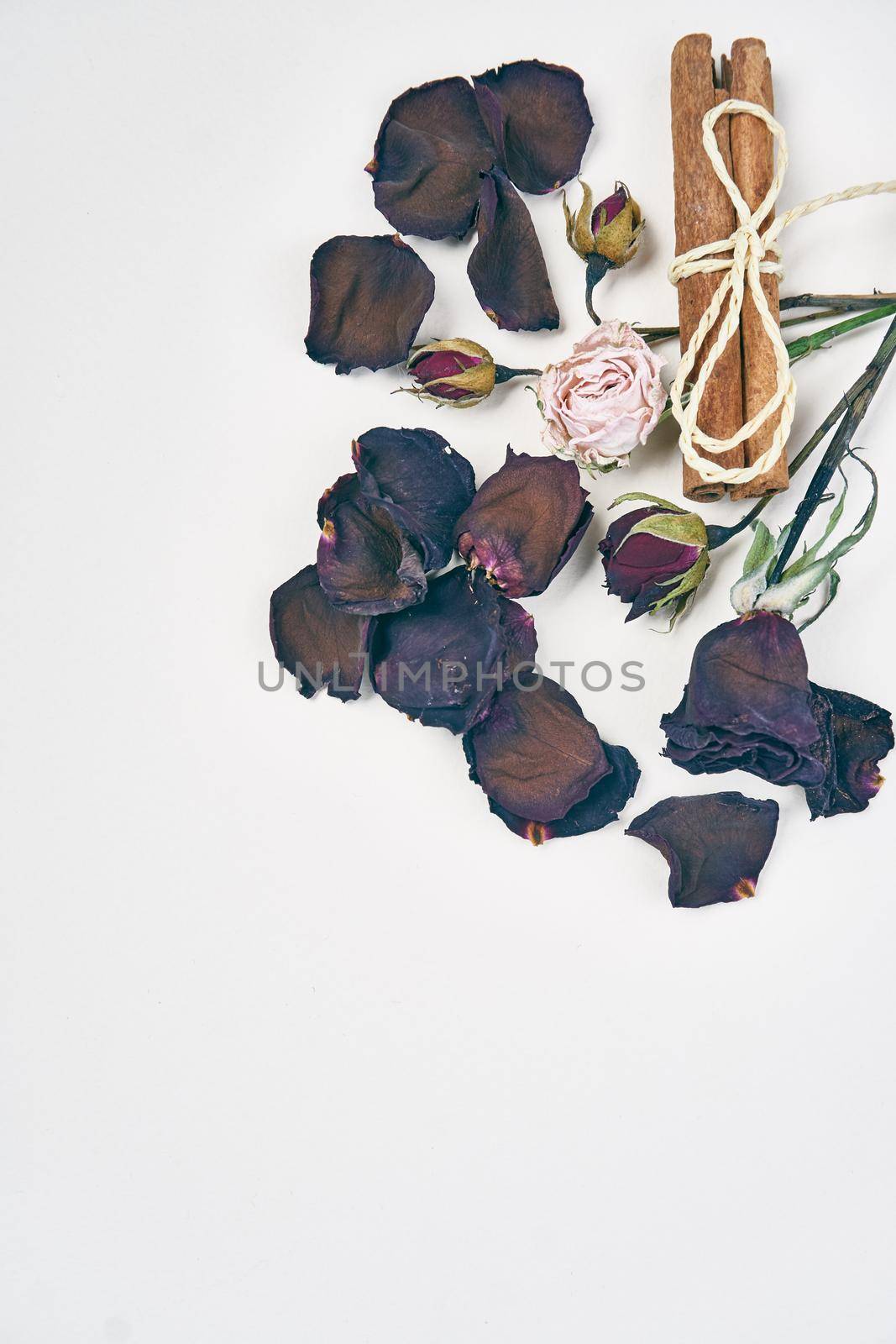 rose petals decoration cinnamon object light background by Vichizh