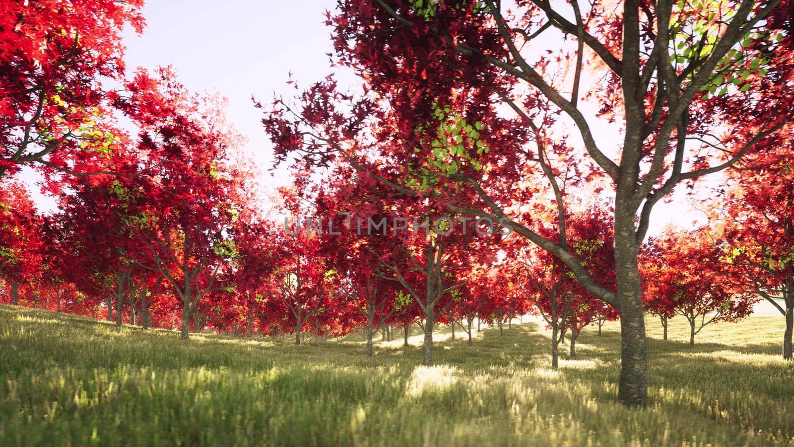 Beautiful colorful autumn forest red trees Nature season orange grass landscape 3d render by Zozulinskyi