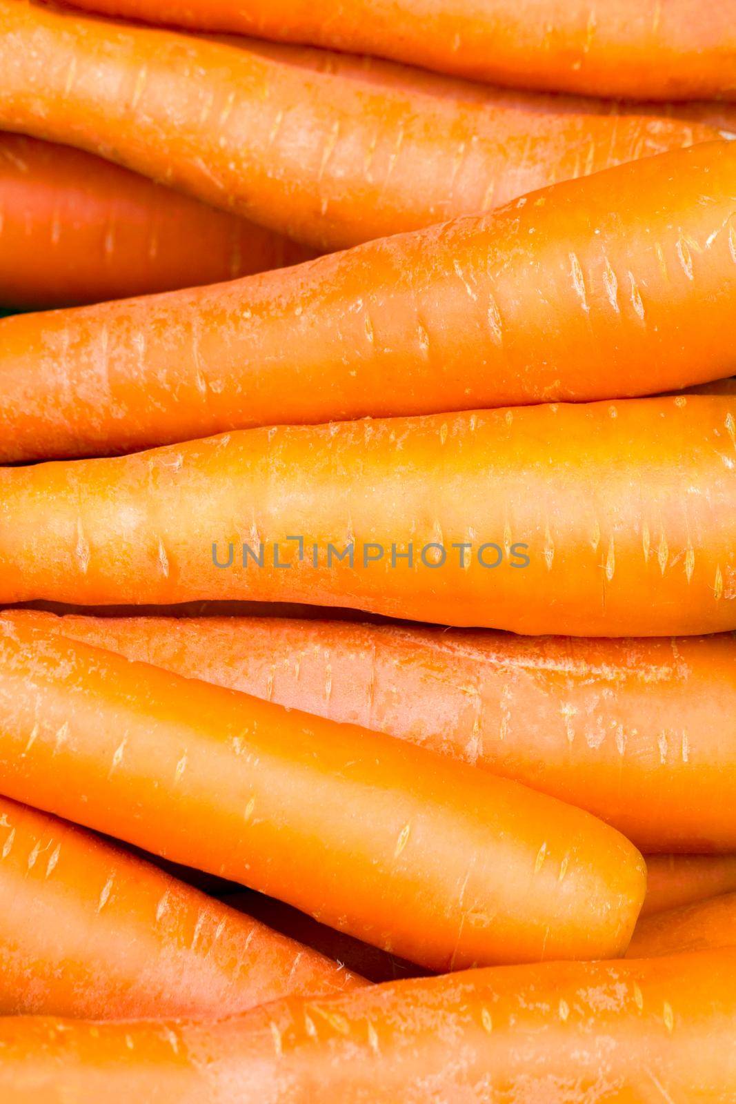 Fresh Organic Carrot, Food For Health Background. by rakoptonLPN