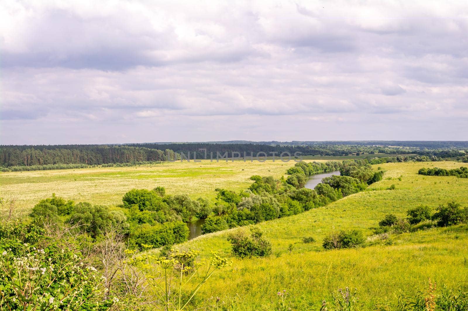 Spacious fields around the river, hot summer