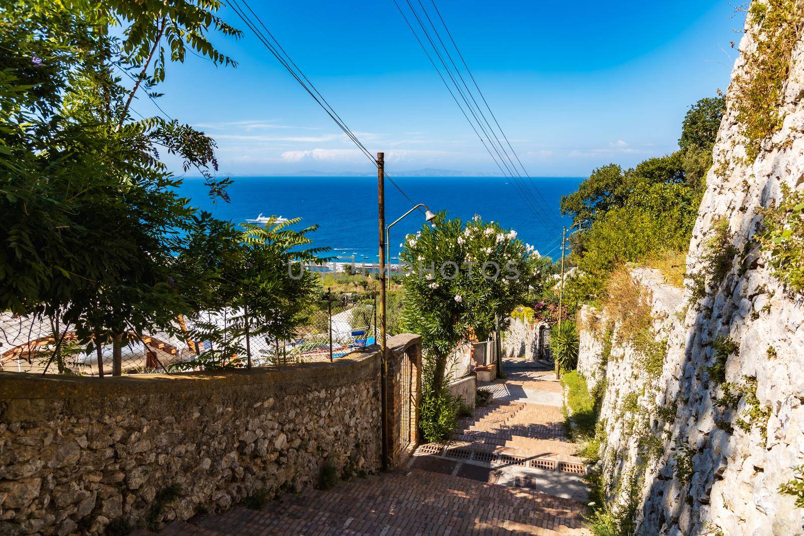 Long narrow path full of small red brick steps down to bay of Capri island  by Wierzchu