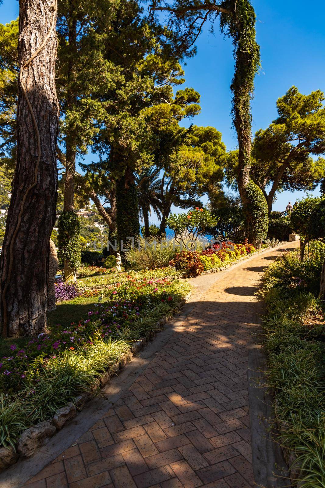 Small path in Giardini di Augusto full of colorful trees and flowers by Wierzchu