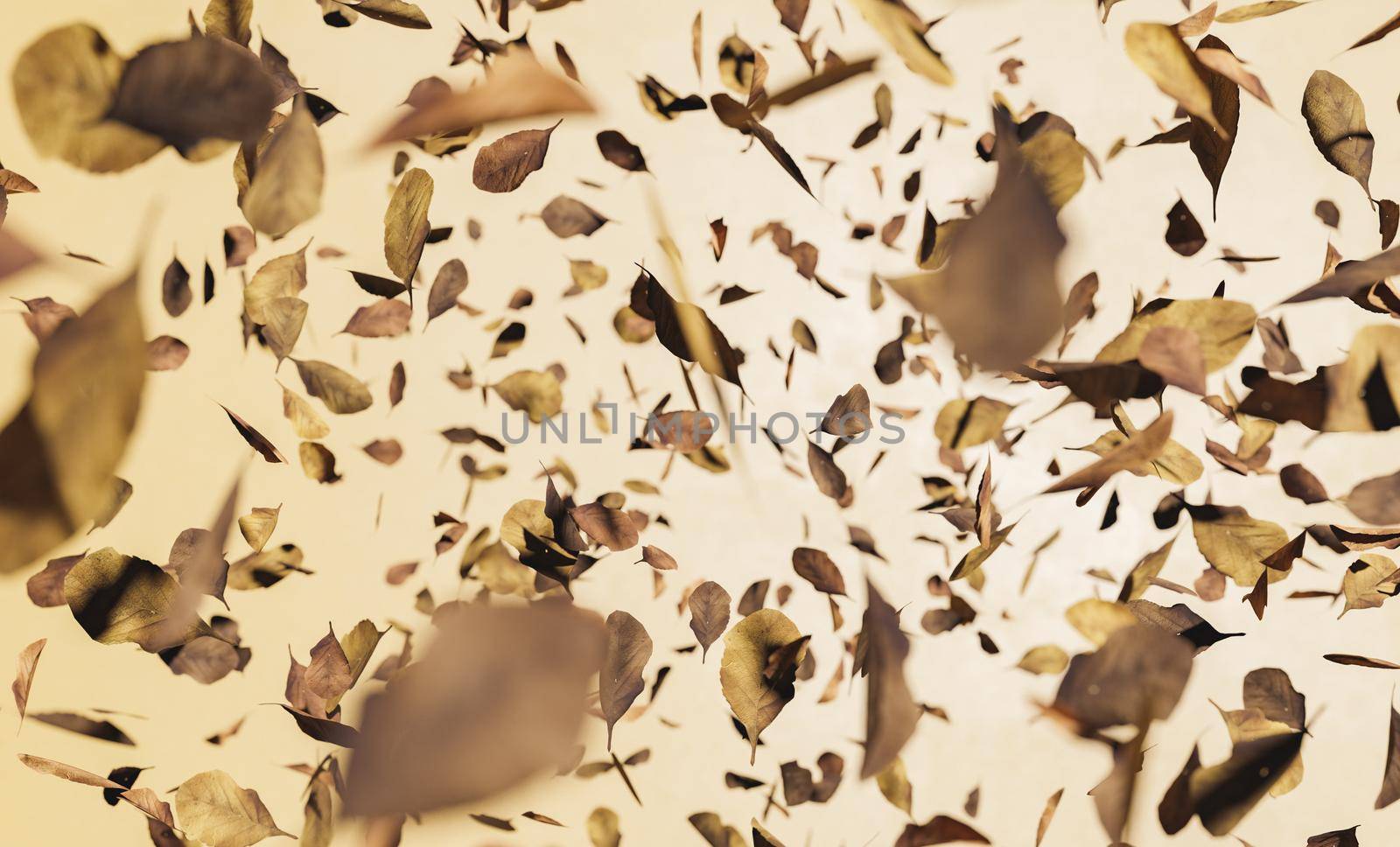 beige abstract background of autumn leaves with selective focus falling. winter and autumn concept. 3d render