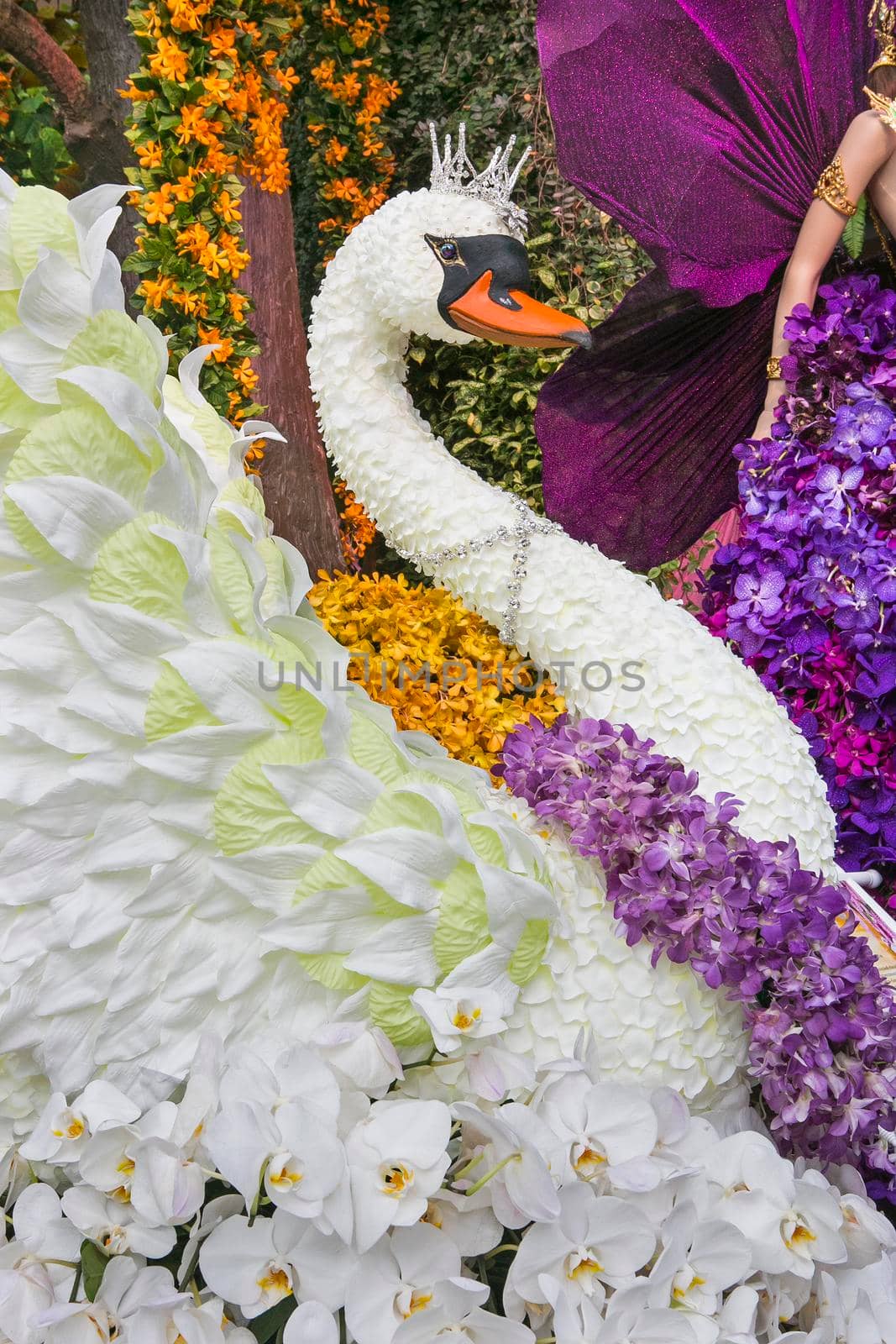 Swan made from orchid flowers.