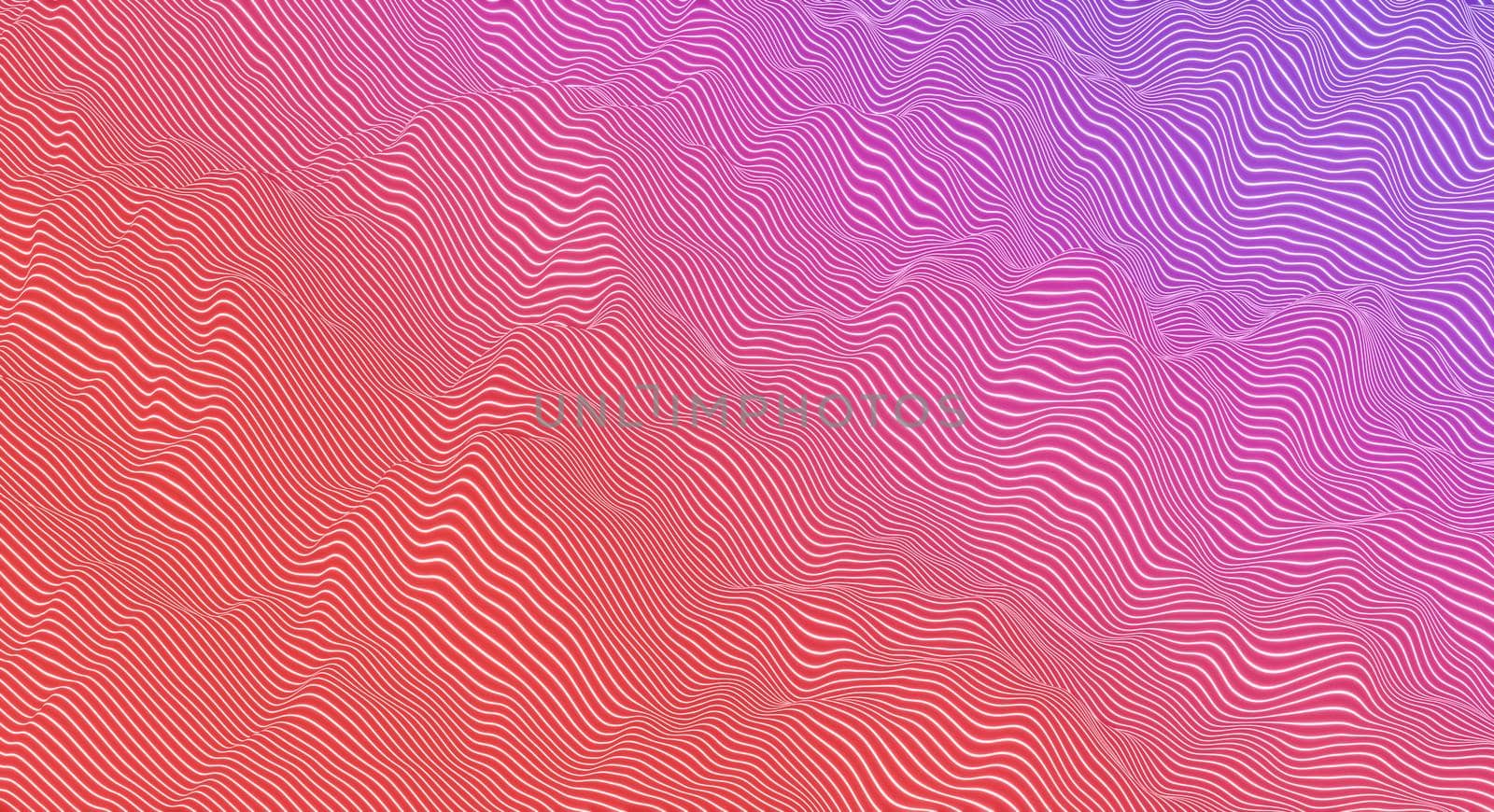 abstract background of curved lines with red and blue gradient colors. 3d render