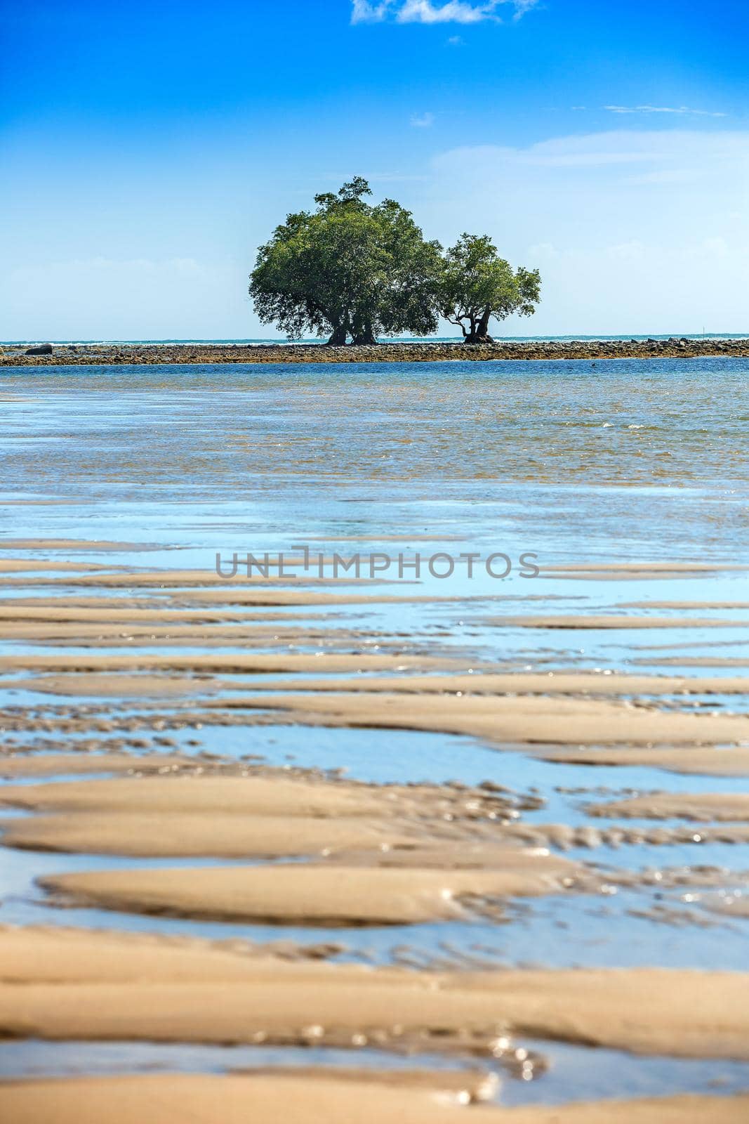 Sand dunes by the sea