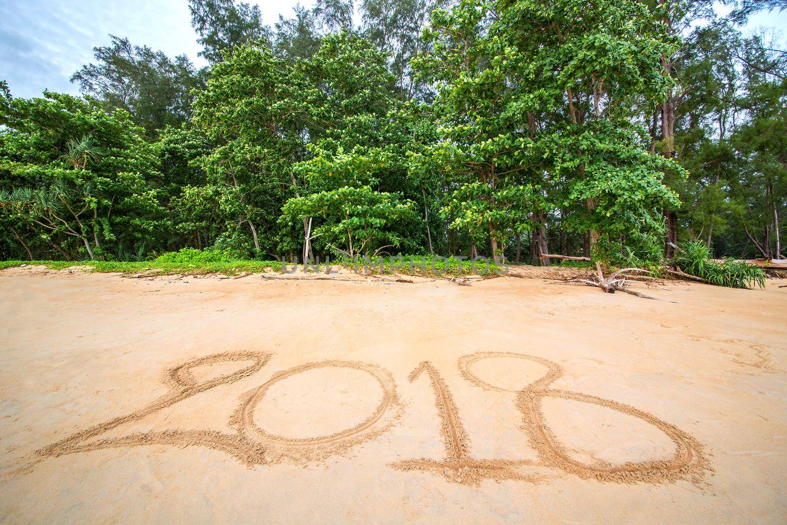 Year 2018 written at the sand beach with sea wave water