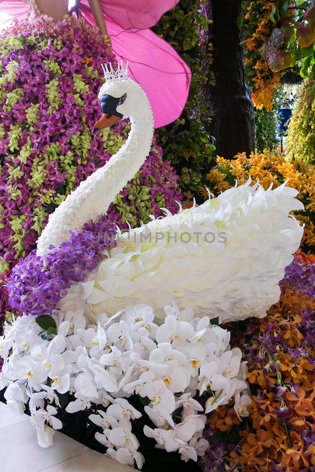 Swan made from orchid flowers.