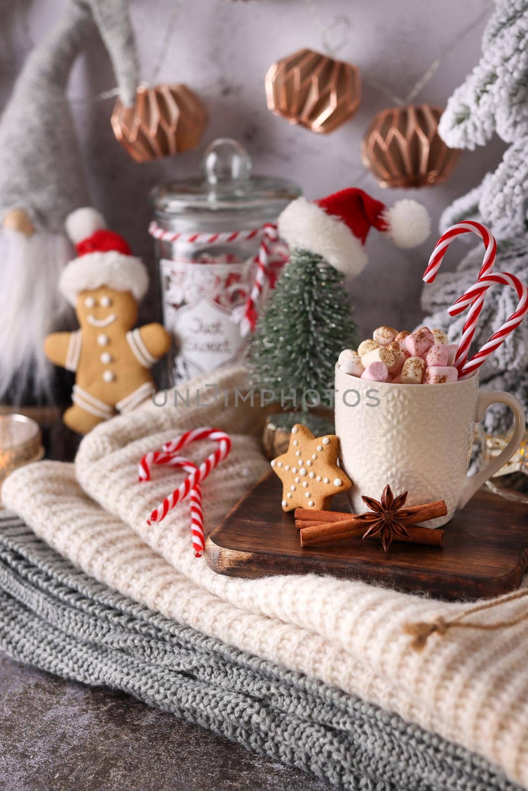 Cozy winter composition with a cup and Hot chocolate with marshmallow.