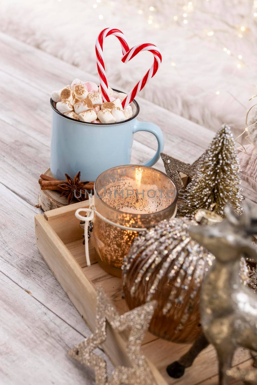 Cozy winter composition with a cup and Hot chocolate with marshmallow.