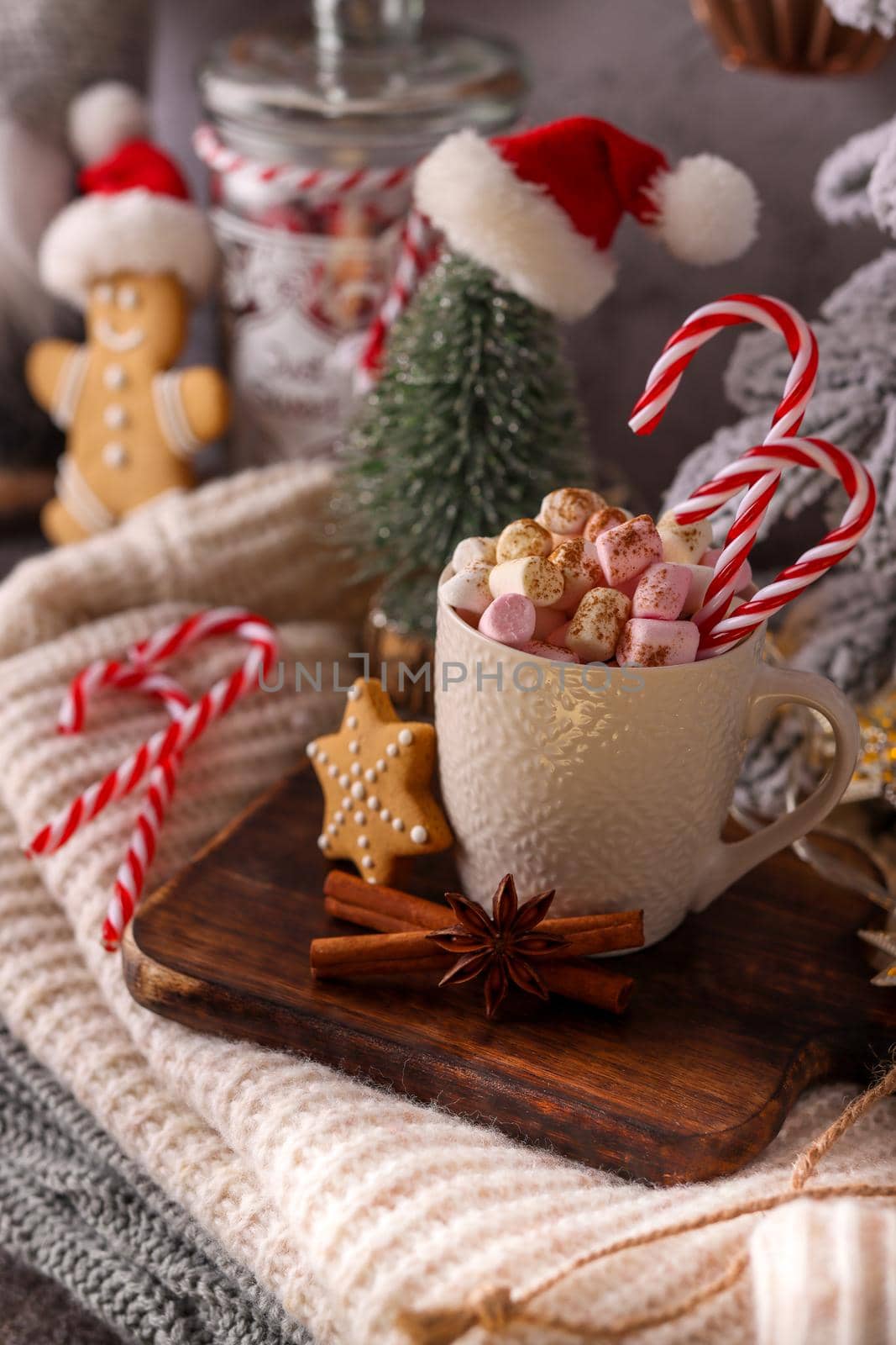 Cozy winter composition with a cup and Hot chocolate with marshmallow.