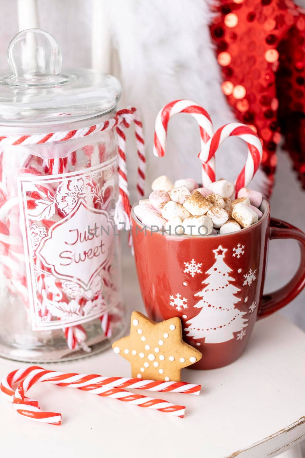 Gingerbread with mug of hot chocolate and candy cane. by gitusik