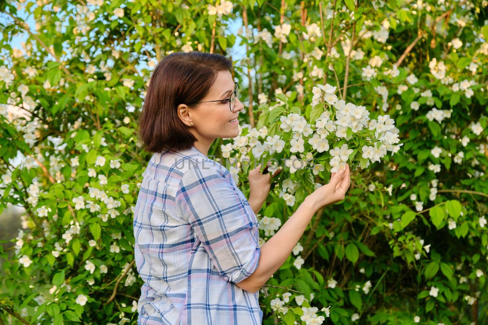 Portrait of smiling middle-aged woman near flowering jasmine bush. Beautiful female 40s of age looking at flowers in spring garden. Nature, springtime, beauty, people of mature age concept