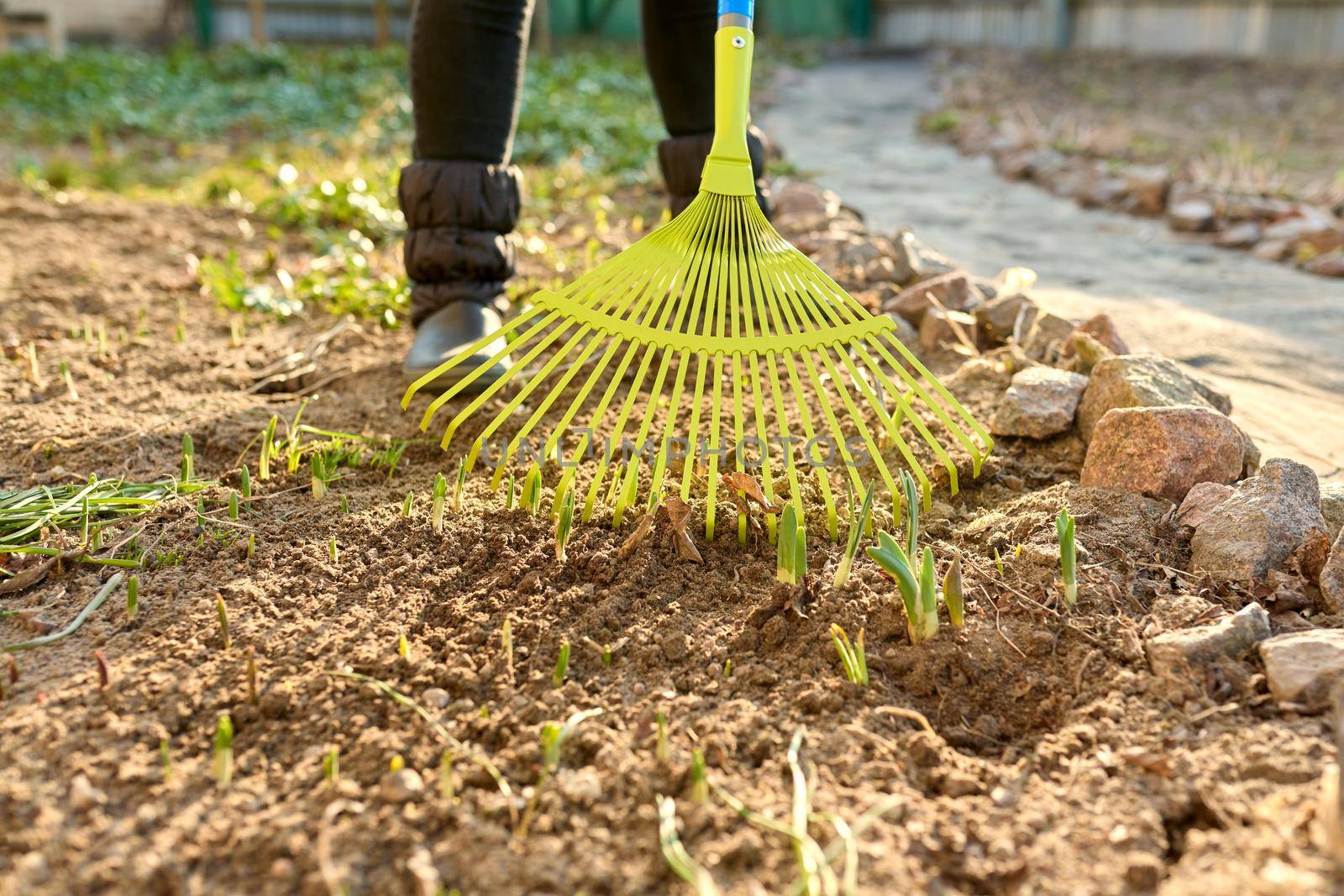 Spring seasonal gardening, rake cleaning backyard close-up. by VH-studio