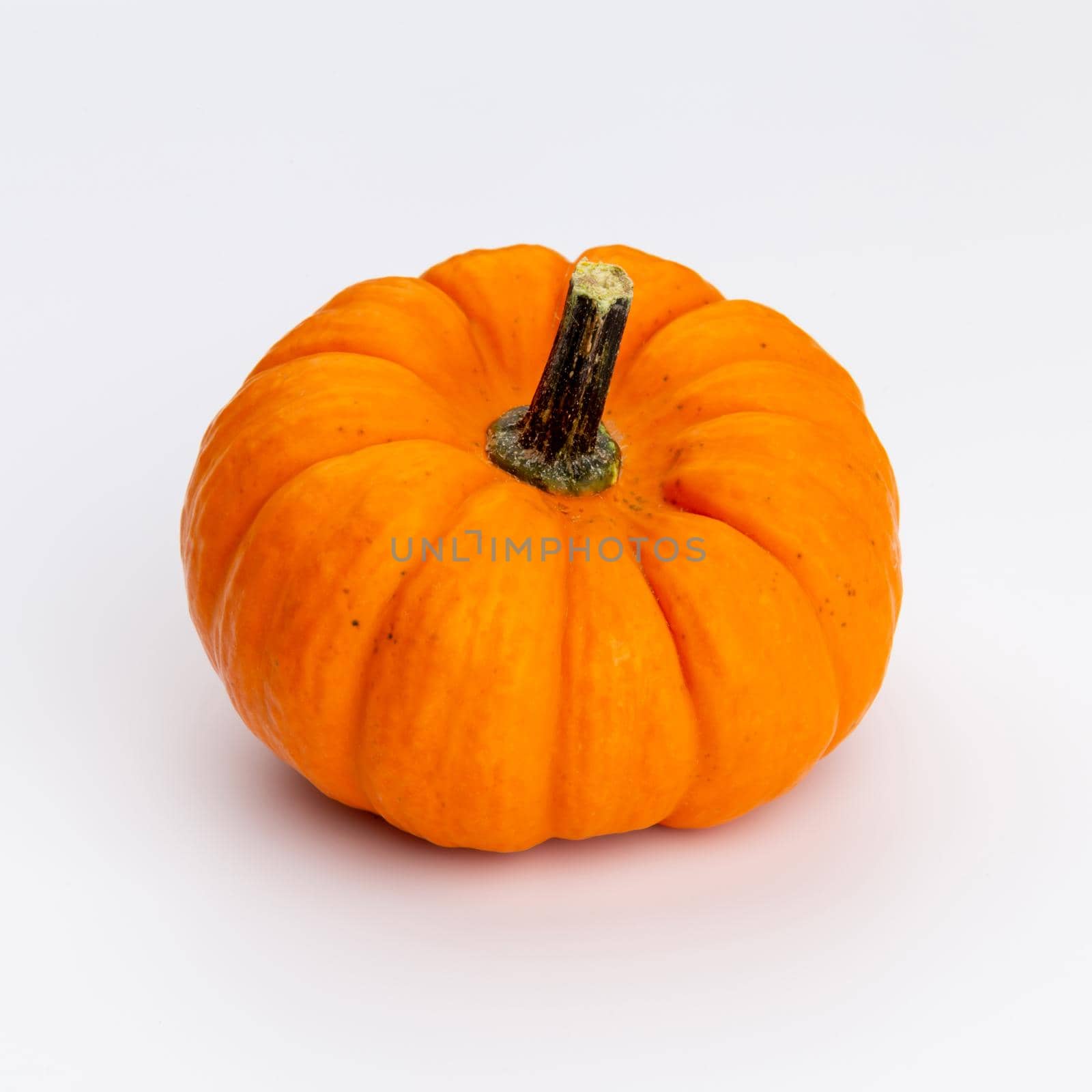 Creative Top view flat lay pumkin composition. by gitusik