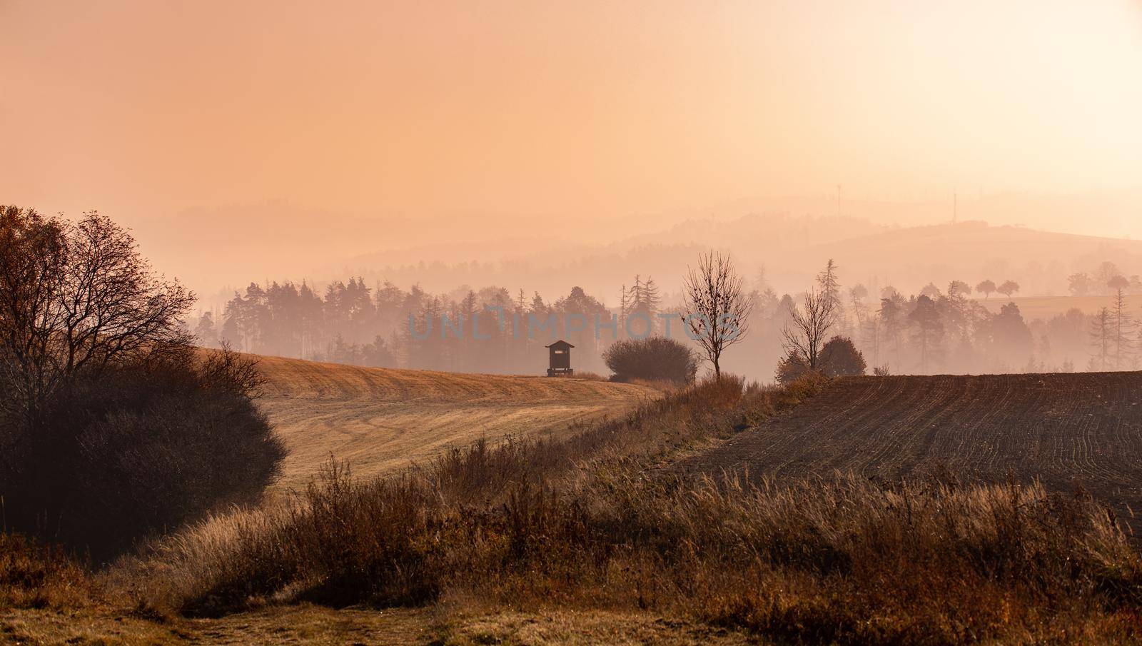 Autumn foggy and misty sunrise landscape by artush