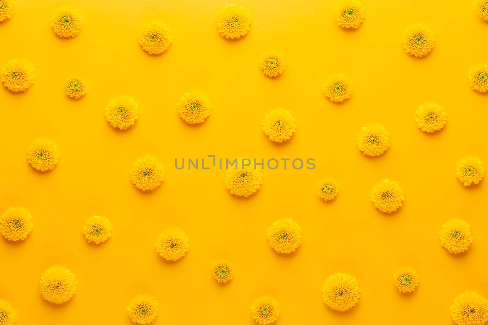 Yellow flower pattern on a yellow background.  Spring greeting card. by gitusik
