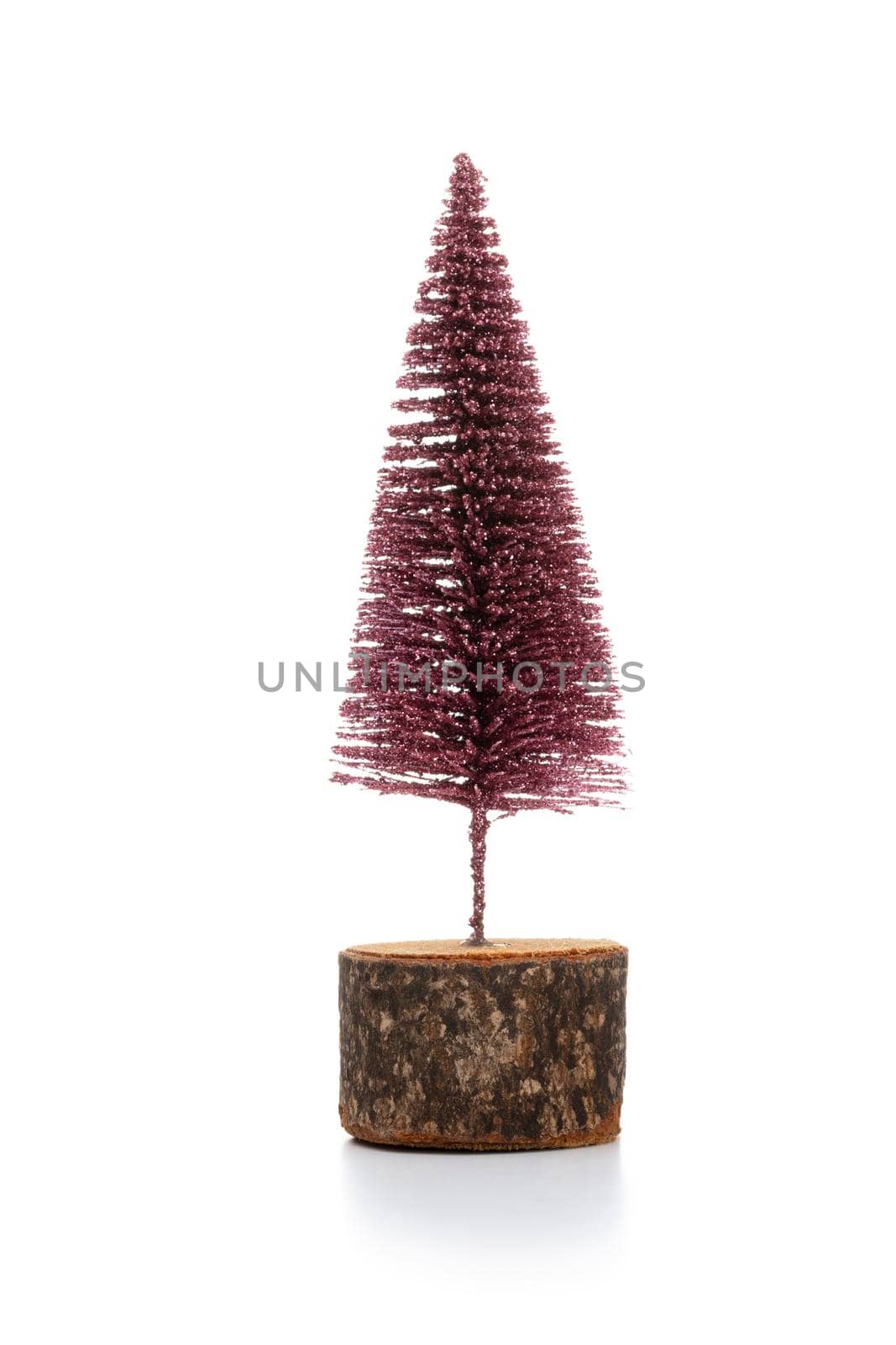 Christmas tree isolated on a white background.