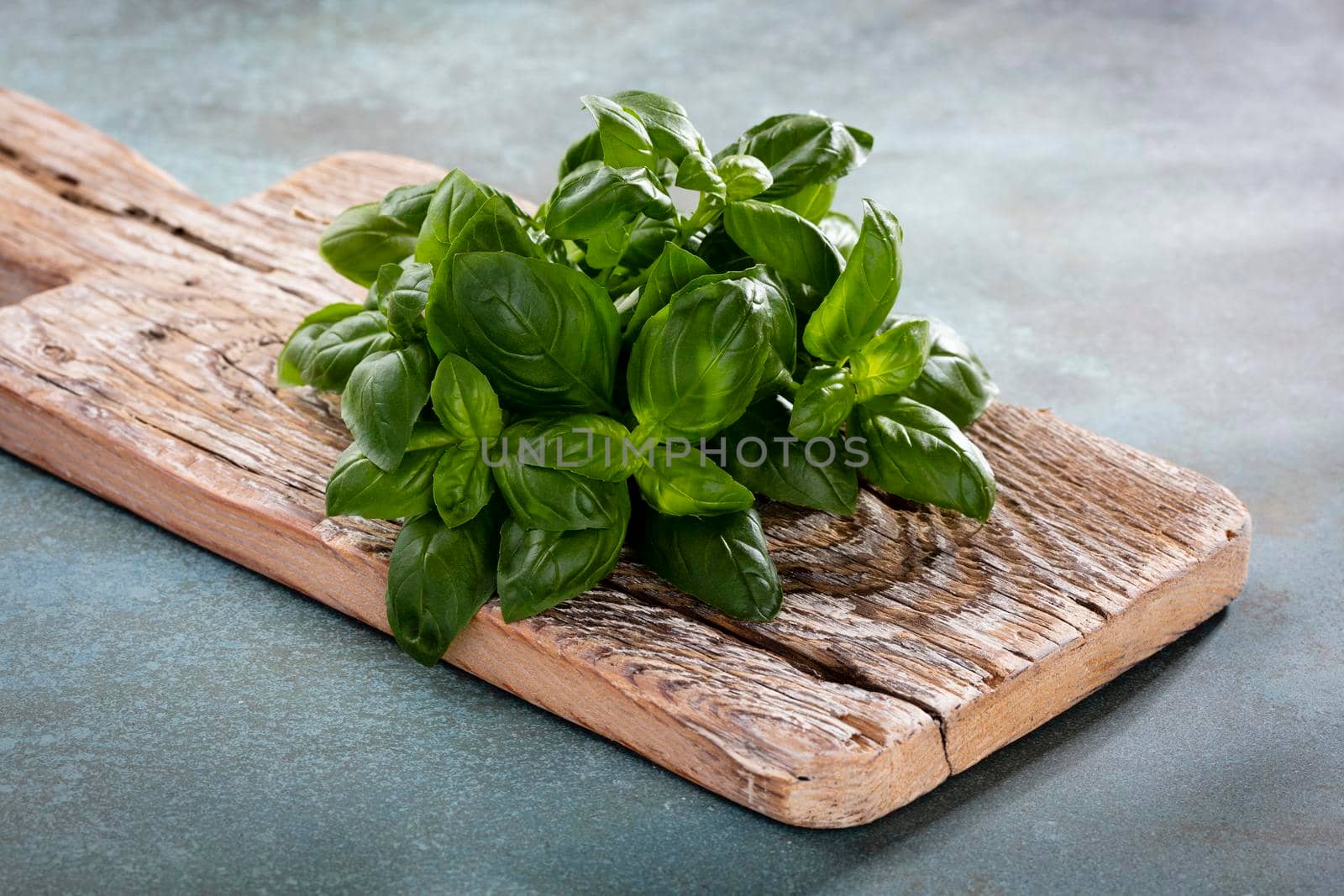 Bunch of fresh organic basil in cutting board on rustic wooden background by gitusik