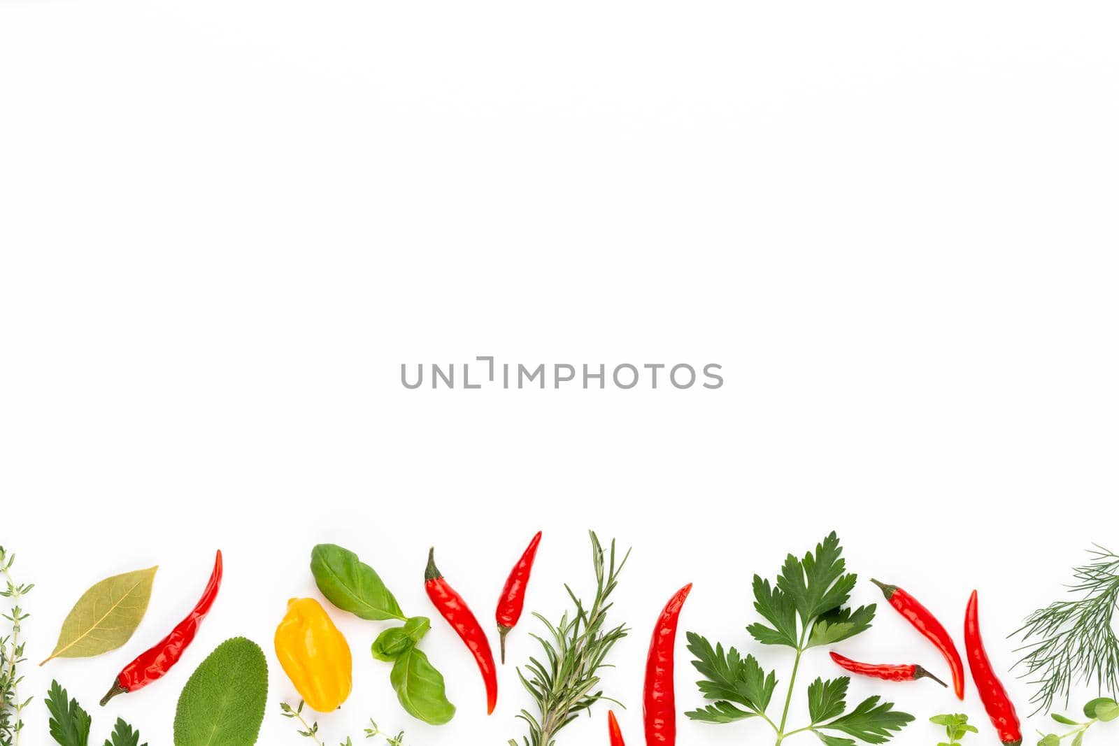 Spice herbal leaves and chili pepper on white background. Vegetables pattern. Floral and vegetables on white background. Top view, flat lay. by gitusik