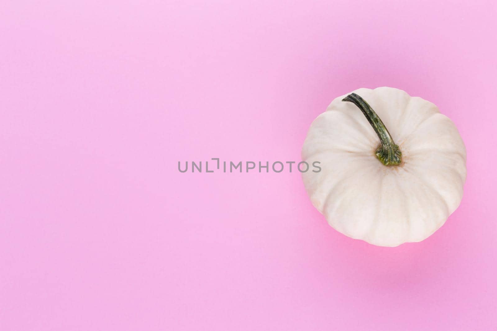 Creative Top view flat lay pumkin composition.  by gitusik