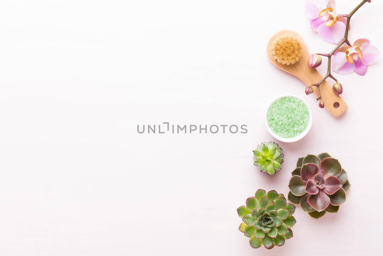 Spa background with handmade bio cosmetic and  cactus composition, flat lay, space for a text - Image. by gitusik