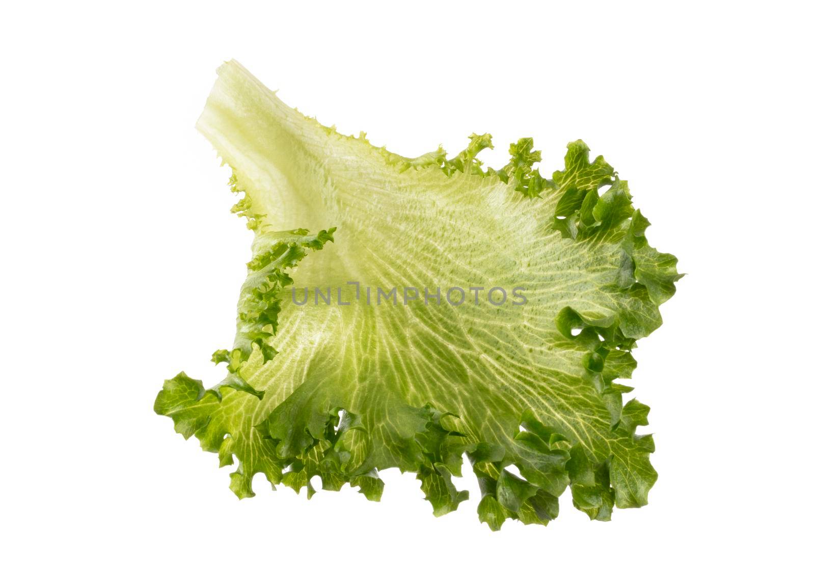 Salad leaves Bio lettuce isolated on white background. by gitusik