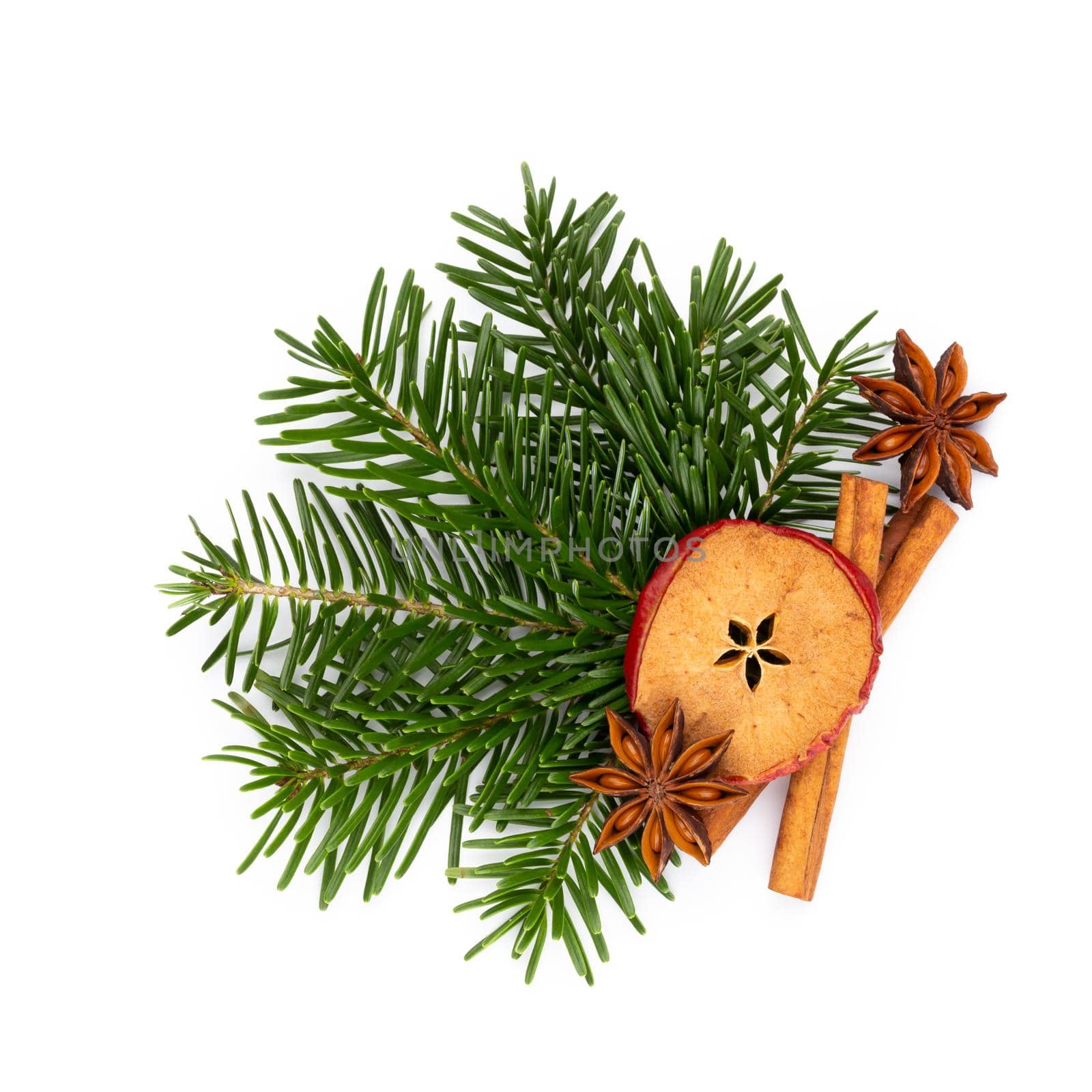 Pine cones and fir tree branch on a white background.
