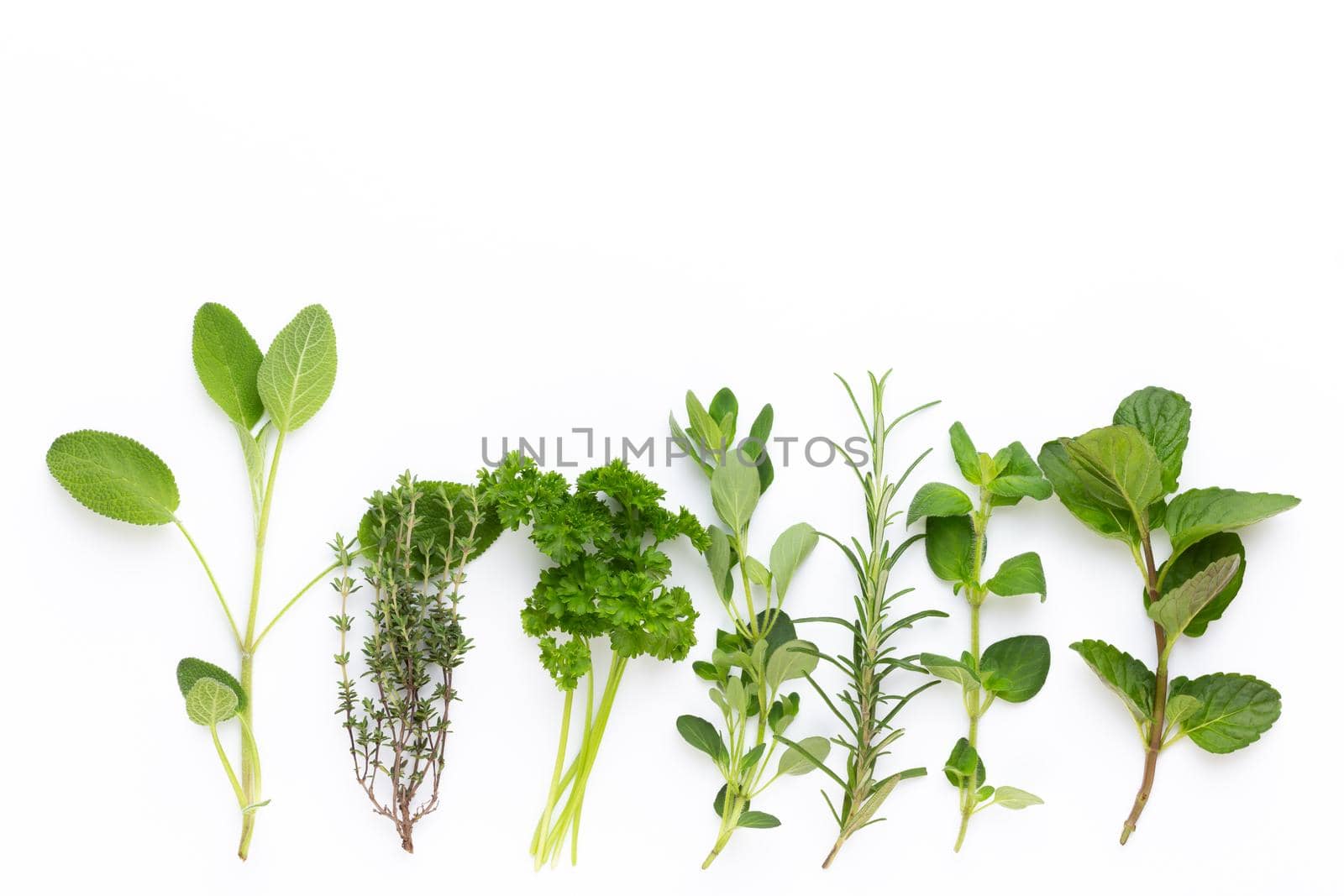 Spice plant isolated on white background. Top view. Flat lay pattern.