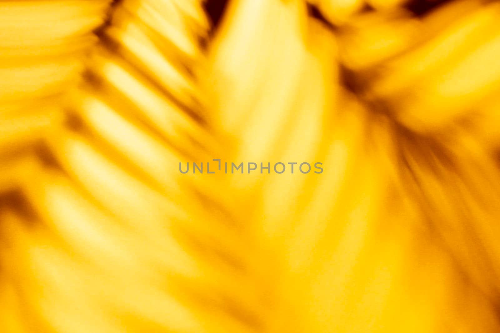 Palm leaves and shadows on a color wall background. by gitusik