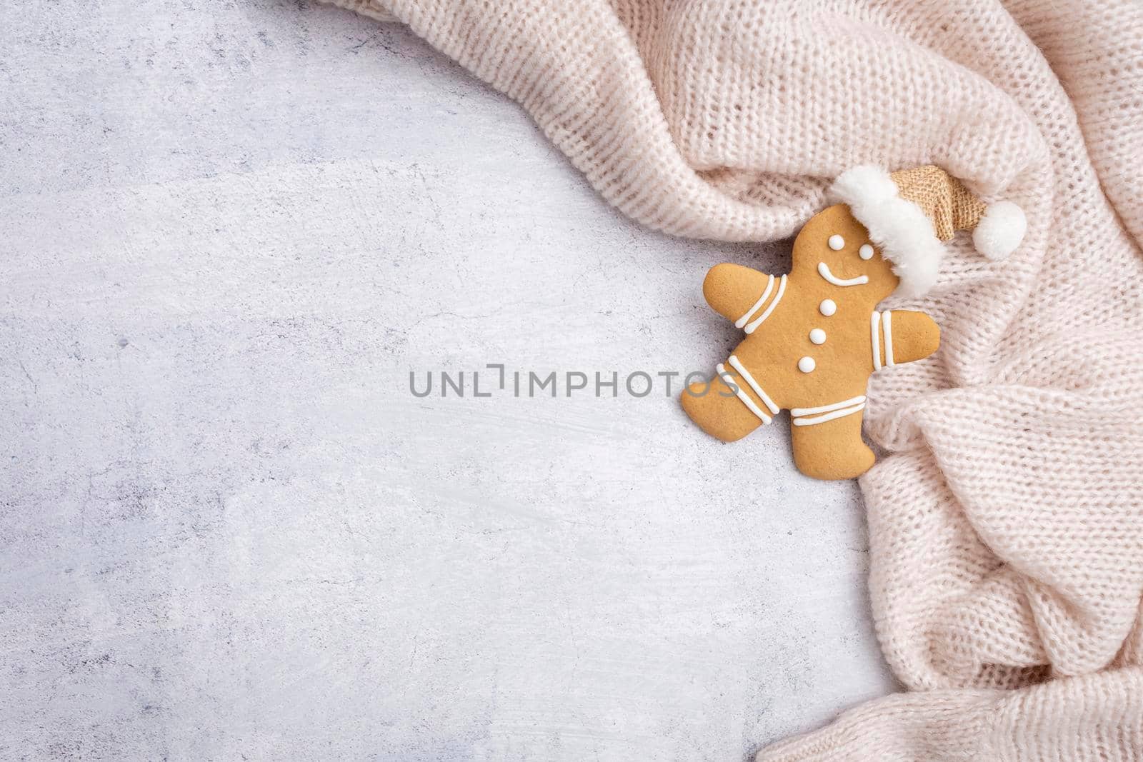 Gingerbread with mug of hot chocolate and christmas candy cane. by gitusik