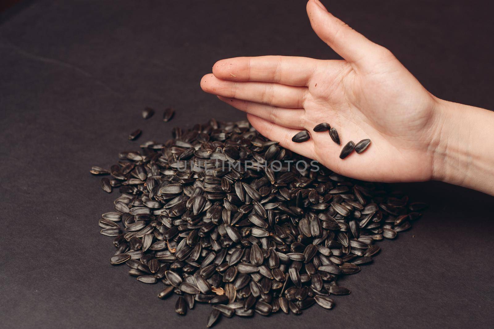 natural product sunflower seeds handing close-up food by Vichizh