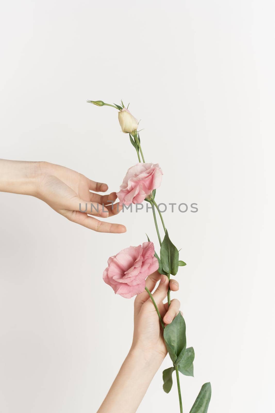 bouquet of flowers in hands close-up light background decoration beauty. High quality photo